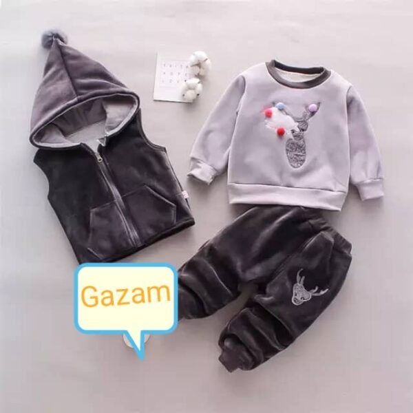 Stylish Baby Clothing Sets Winter Auturmn Children Outfit, Girls Pant + Sweater + Hooded Vest 3Pcs. (hot sale) - Image 2